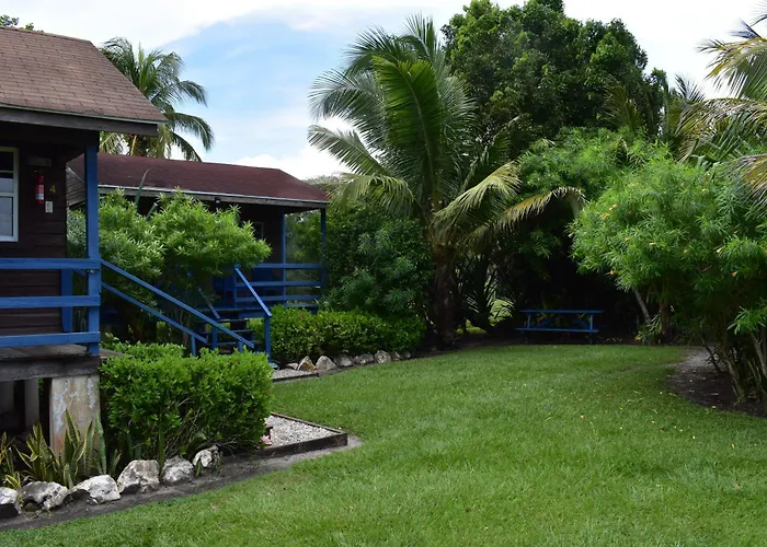 Crooкed Tree Lodge Belize